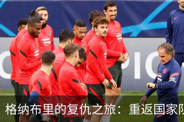 格纳布里的复仇之旅：重返国家队的逆袭时刻！